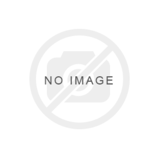 Obrazek KOŁO 165 70 R13 ROSAVA 79N 4,5J x 13 4X100 SSWL Nośność: 437